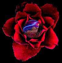 sphererose.jpg